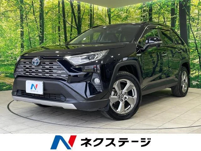 2019 Toyota RAV4
