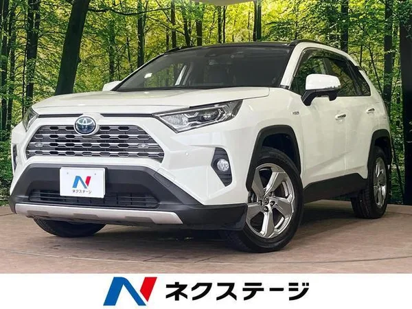 2020 Toyota RAV4