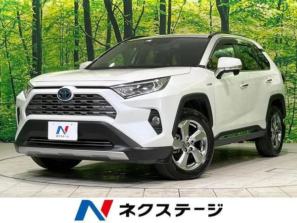 2019 Toyota RAV4