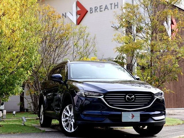 2018 Mazda CX8