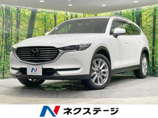 2018 Mazda CX8