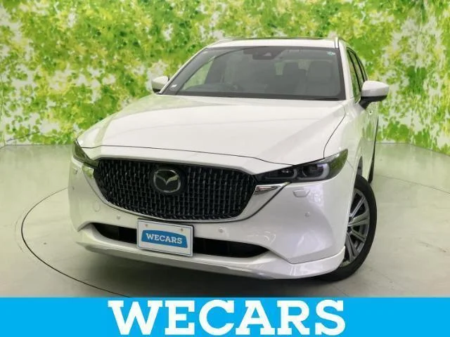 2023 Mazda CX8