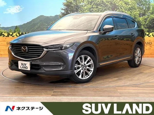 2018 Mazda CX8