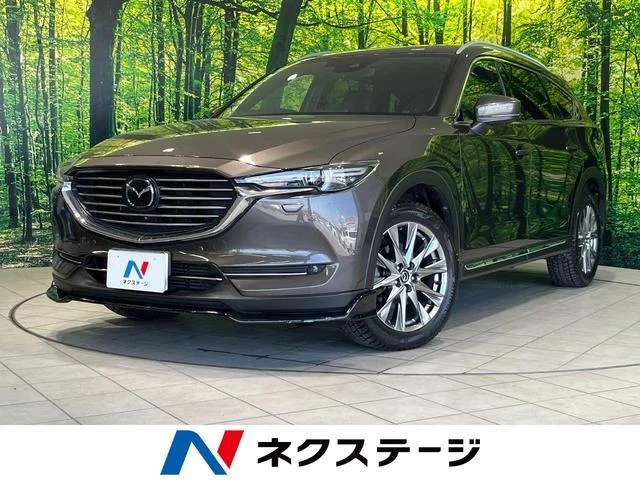2019 Mazda CX8