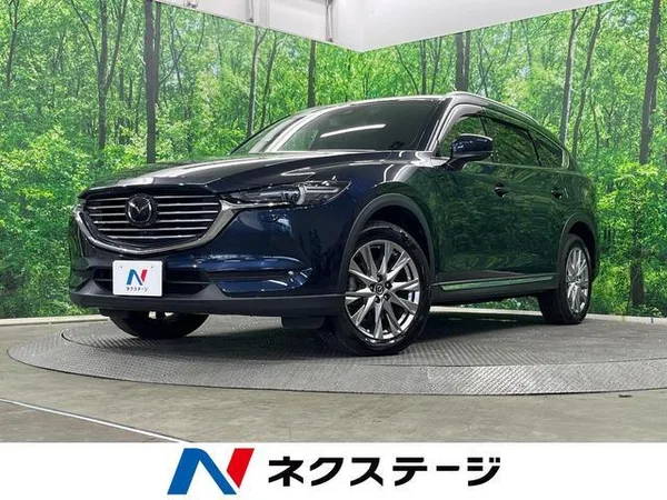 2018 Mazda CX8