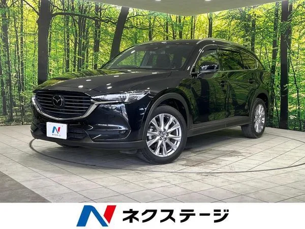 2019 Mazda CX8