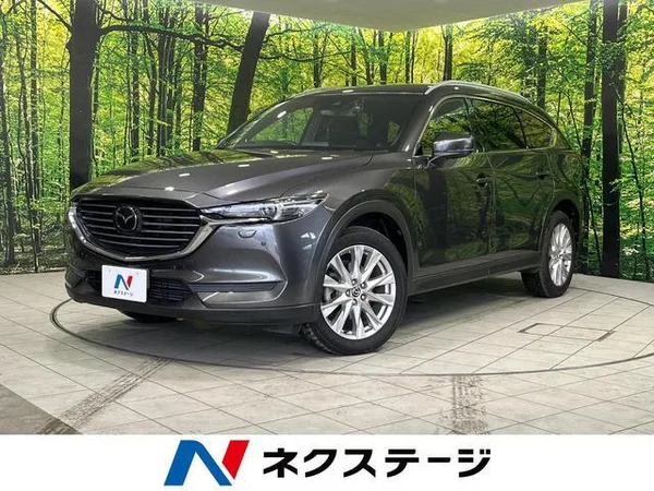 2018 Mazda CX8