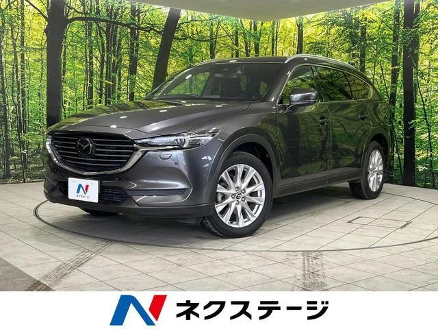 2018 Mazda CX8