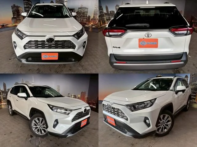 2019 Toyota RAV4