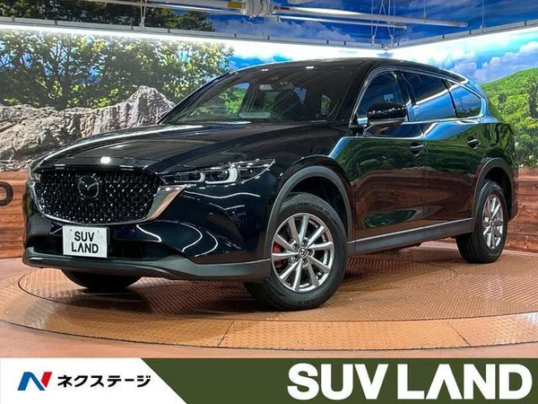 2023 Mazda CX8