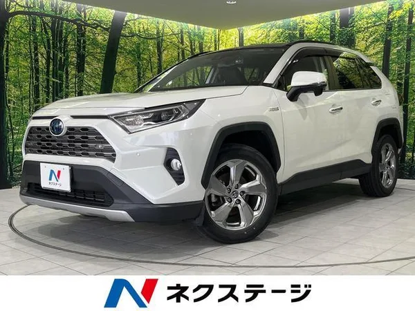 2020 Toyota RAV4