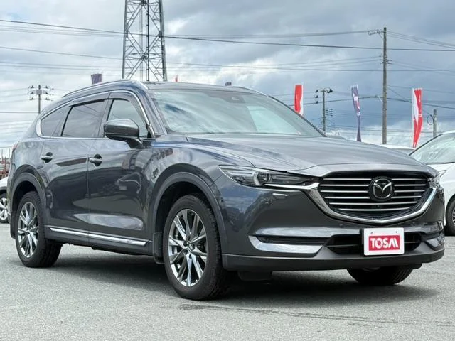 2018 Mazda CX8