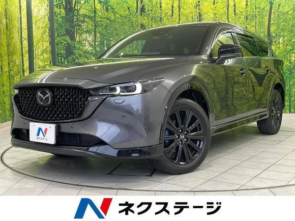 2023 Mazda CX8