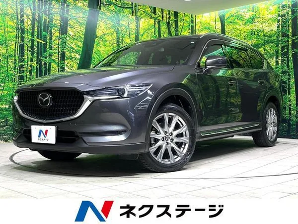 2018 Mazda CX8