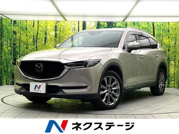 2021 Mazda CX8