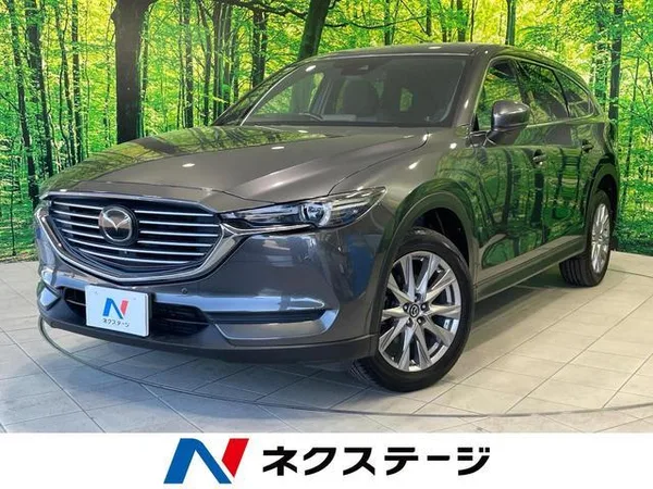 2018 Mazda CX8
