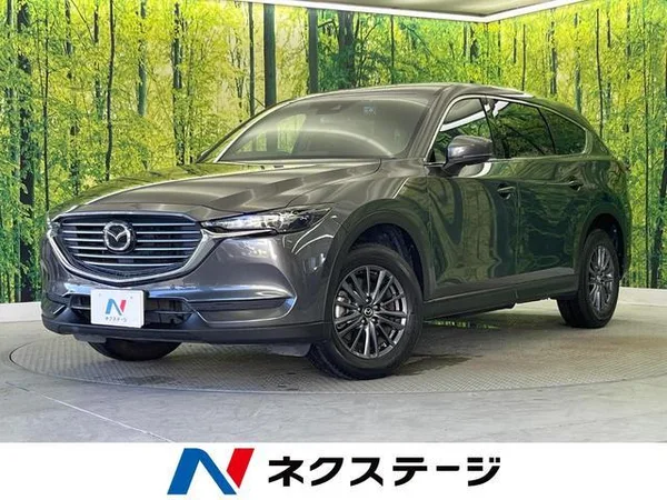 2019 Mazda CX8