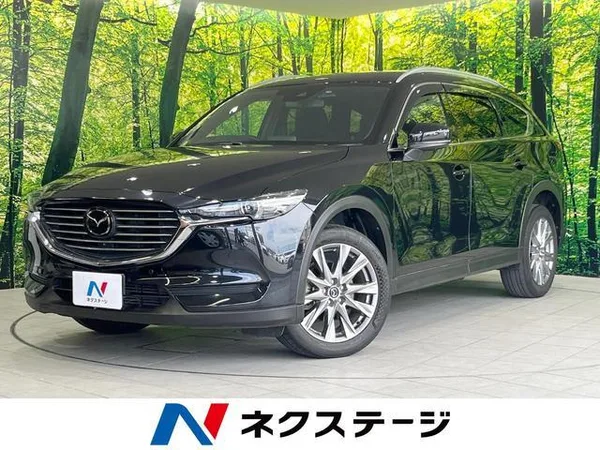 2019 Mazda CX8