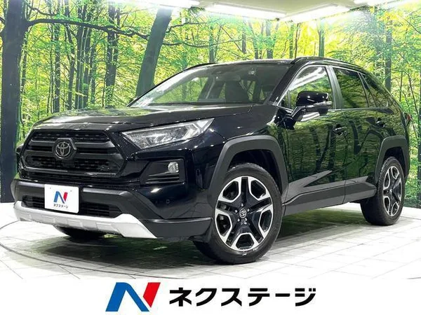 2019 Toyota RAV4