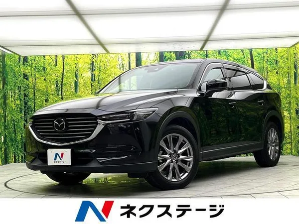 2019 Mazda CX8