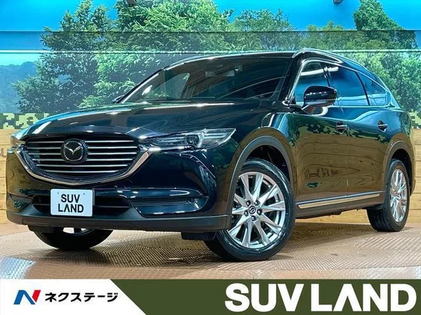 2018 Mazda CX8