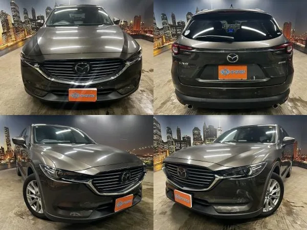 2018 Mazda CX8