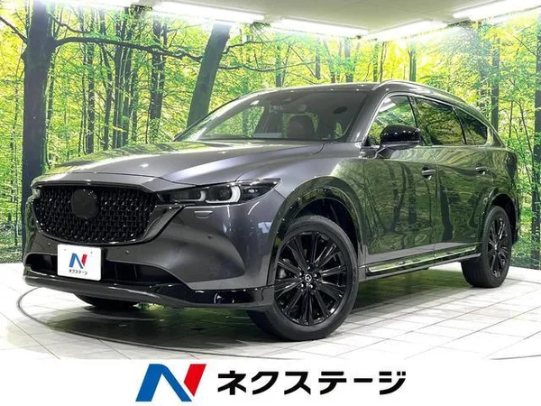 2023 Mazda CX8
