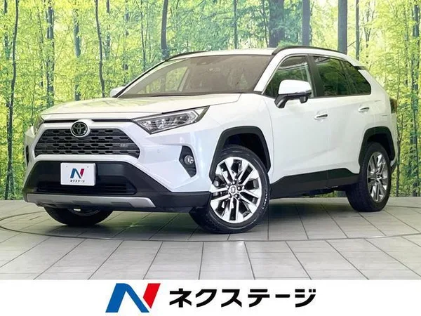 2019 Toyota RAV4