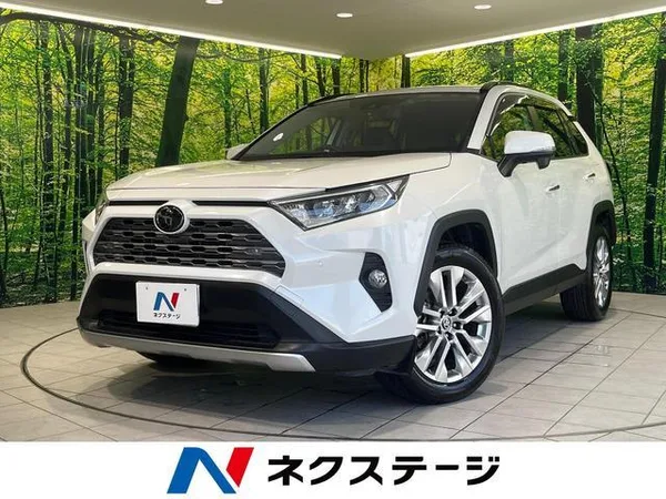 2020 Toyota RAV4