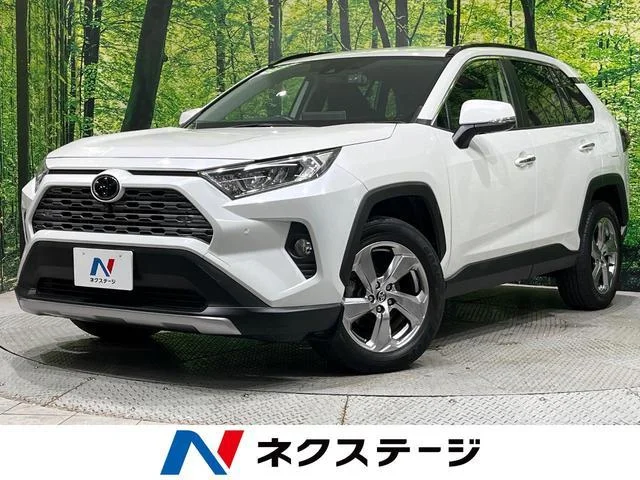 2020 Toyota RAV4
