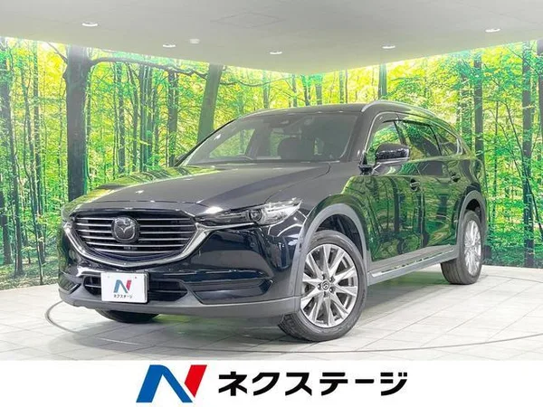 2019 Mazda CX8