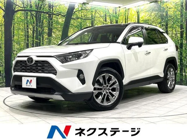 2019 Toyota RAV4