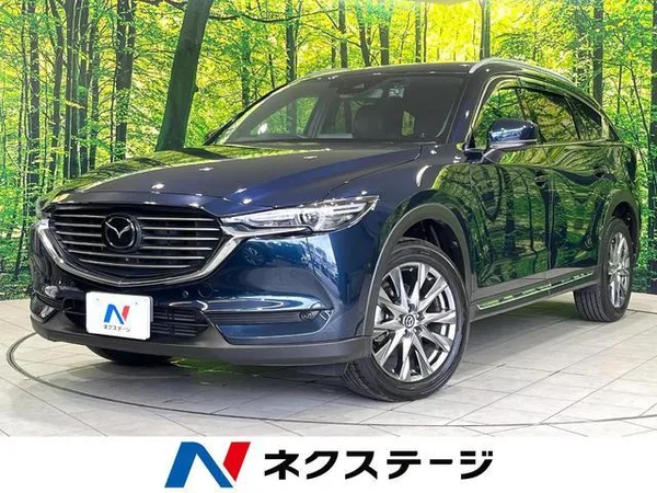 2019 Mazda CX8