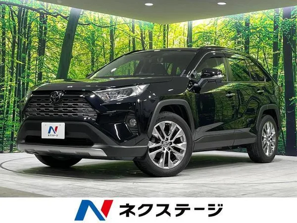 2020 Toyota RAV4