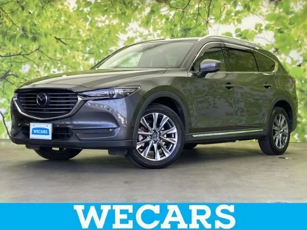 2018 Mazda CX8