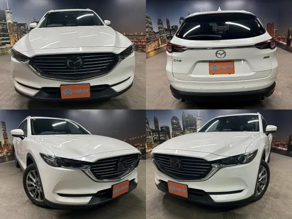 2018 Mazda CX8