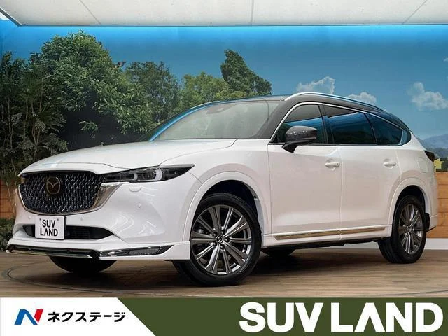 2023 Mazda CX8