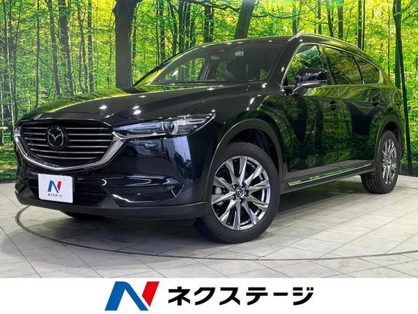 2019 Mazda CX8