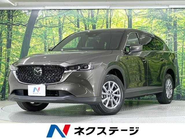 2024 Mazda CX8
