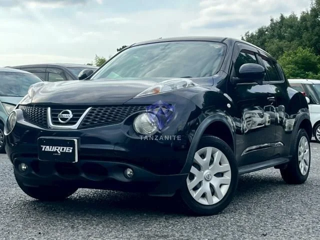 2012 Nissan Juke