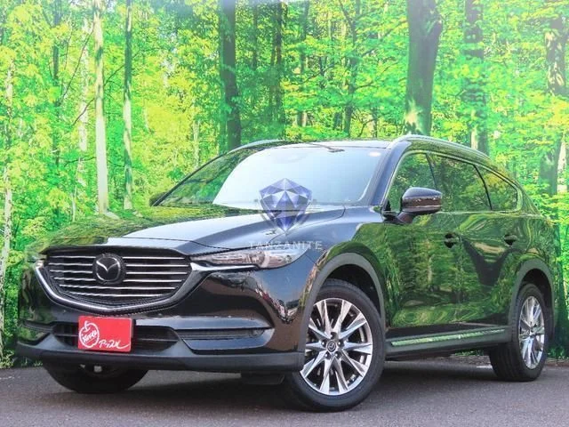 2018 Mazda CX8