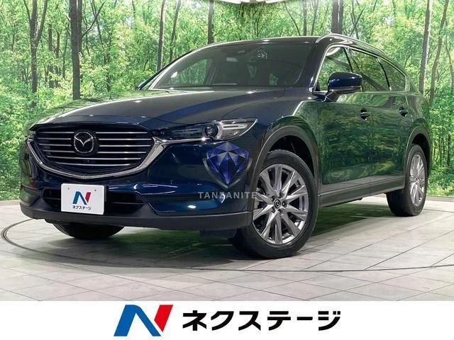2019 Mazda CX8