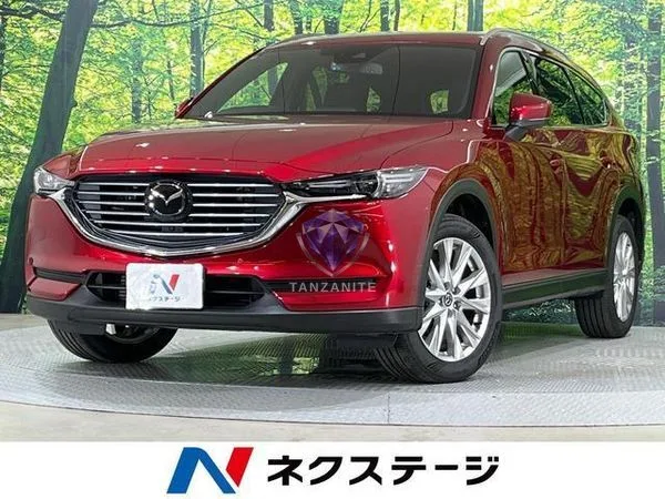 2018 Mazda CX8