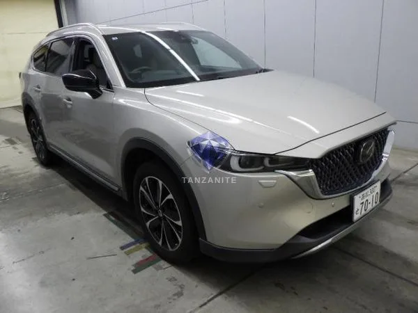 2023 Mazda CX8
