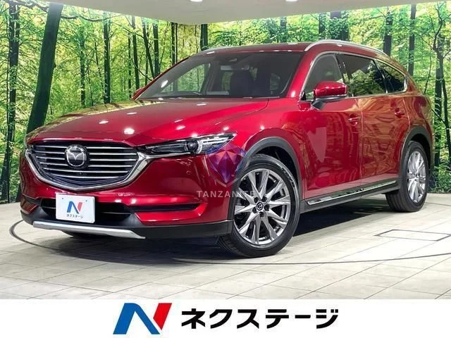 2019 Mazda CX8