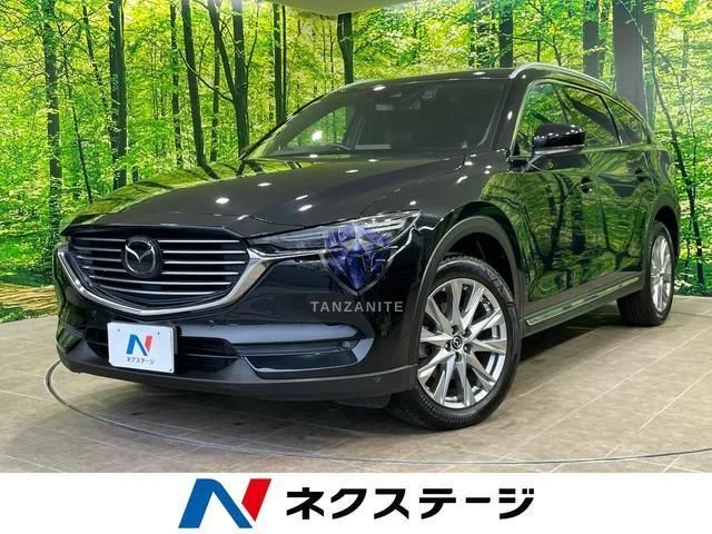 2018 Mazda CX8