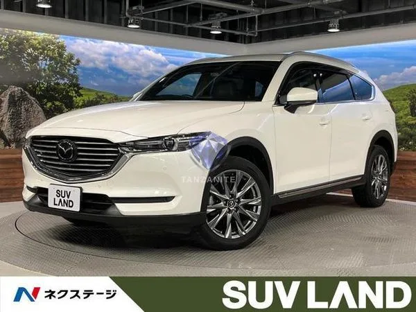 2019 Mazda CX8