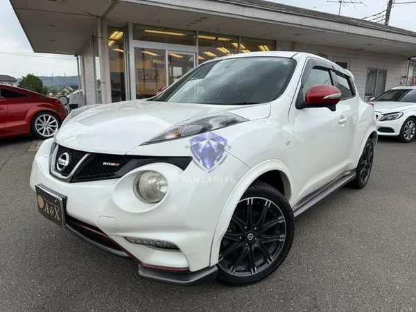2013 Nissan Juke