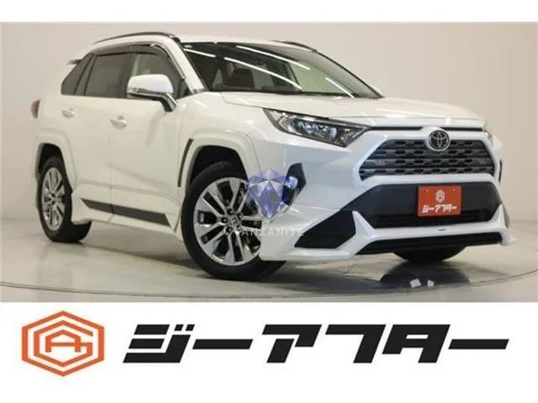 2019 Toyota RAV4