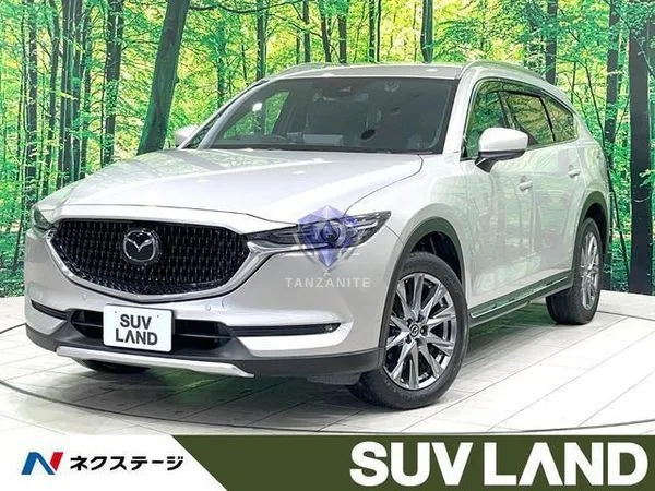 2021 Mazda CX8